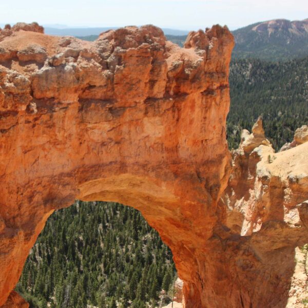 Red stone arch in front of pine tree forests.