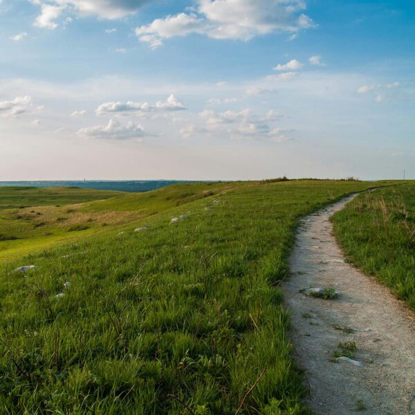 Lush green field with path under cloudy blue skies.