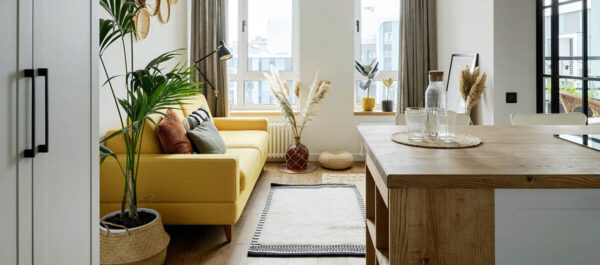 Living room with plush couch, potted plants, and large windows.