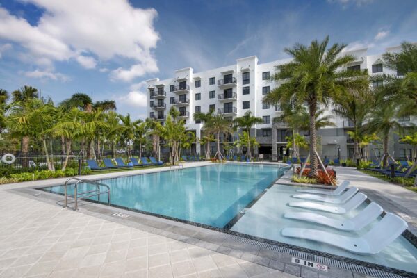 Pool area with lounge chairs and tall palm trees.