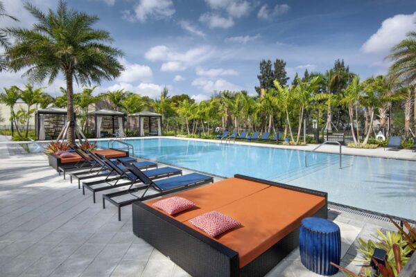 Pool area with lounge chairs and tall palm trees.