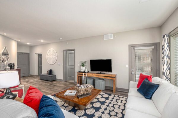 Apartment living room with plush couches, console with TV, and warm decor.