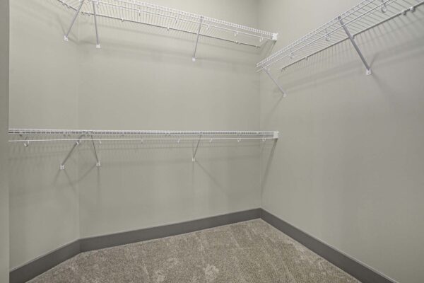 Closet with carpet and built in shelves.
