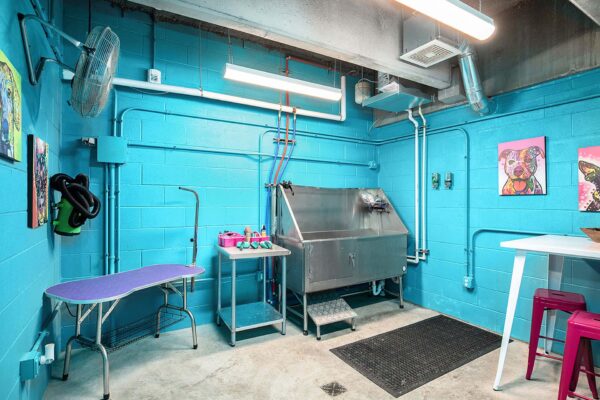 Pet spa at Arte KC apartments with large stainless steel wash basin and colorful pet portraits.