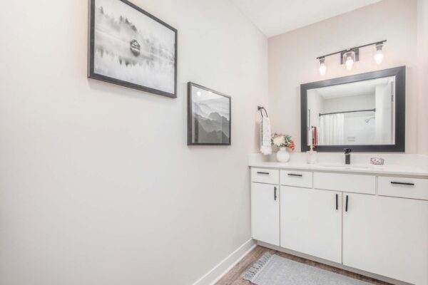 Kenilworth apartment bathroom with wood style floor, white cabinets, framed mirror, and framed photos.