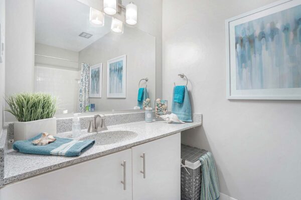 Kenilworth apartment bathroom with wood cabinets, stone counters, large mirror, and framed artwork.