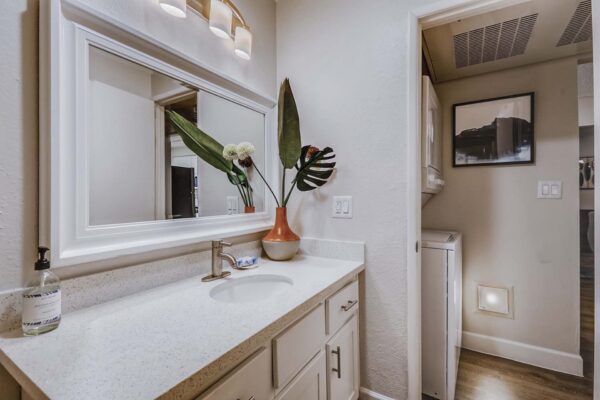 Latitude apartment bathroom with white cabinets and counters, framed mirror, and large plant in vase.