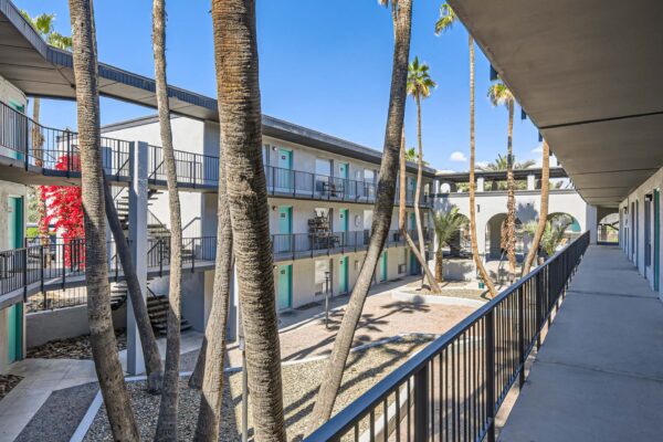Omnia on Thomas apartments courtyard with paved walkways and tall palm trees.