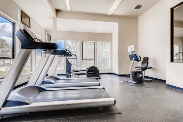 Overlook at Sunset Point apartments fitness center with cardio machines and large windows.