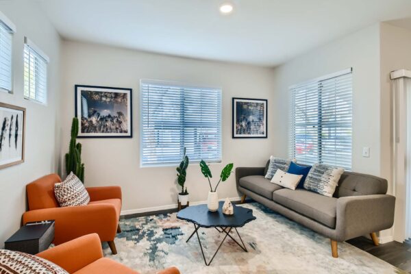 Springs at Alta Mesa apartment living room with pattern rug, plush modern seating, and large windows.