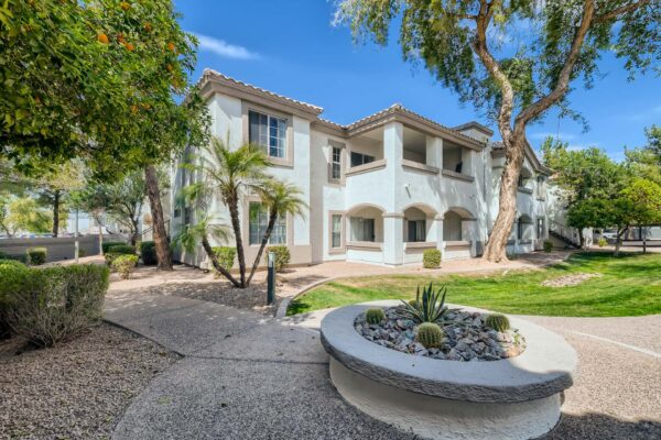 Springs at Alta Mesa apartments courtyard with green lawns, rocky landscaping, and planters with cactus.