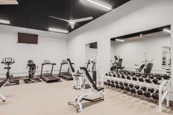 Springs at Alta Mesa apartments fitness center with cardio machines and weight equipment.