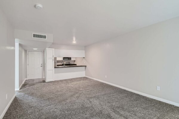 Tempe Vista apartment living area with plush carpet and modern kitchen.
