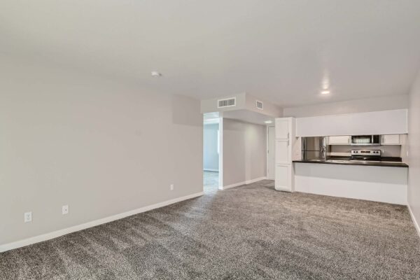 Tempe Vista apartment living area with plush carpet and modern kitchen.
