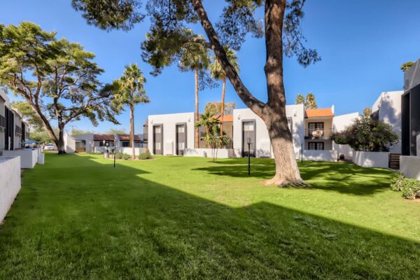 Tempe Vista apartments courtyard with lush green lawns and tall trees.