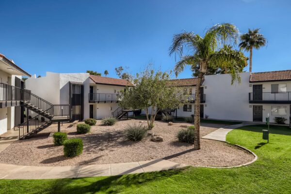 Tempe Vista apartments courtyard with lush desert landscaping and palm trees.