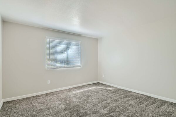 Tempe Vista apartment bedroom with plush carpet and large window.
