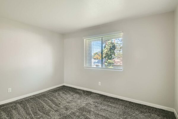 Tempe Vista apartment bedroom with plush carpet and large window.