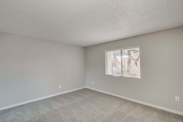 Tempe Vista apartment bedroom with plush carpet and large window.