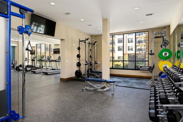 The Locale apartments fitness center with cardio machines and weight equipment.