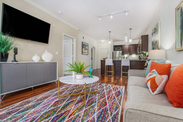 Village at Mission Farms apartment living room with colorful rug, plush couch, console with decor, and TV.