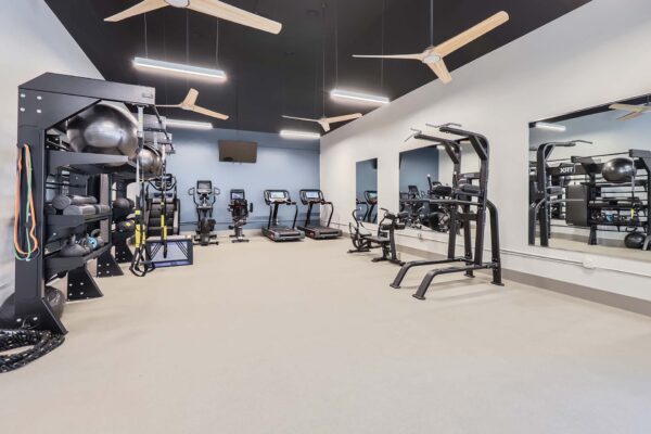 Springs at Alta Mesa apartments fitness center with cardio machines and weight equipment.
