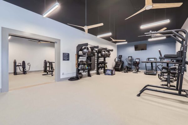 Springs at Alta Mesa apartments fitness center with cardio machines and weight equipment.