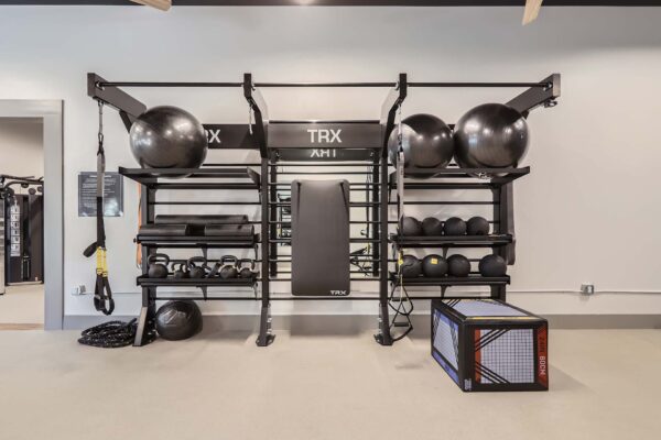 Springs at Alta Mesa apartments fitness center with calisthenics equipment.