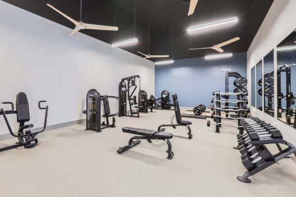 Springs at Alta Mesa apartments fitness center with weight equipment.