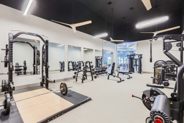 Springs at Alta Mesa apartments fitness center with weight equipment.