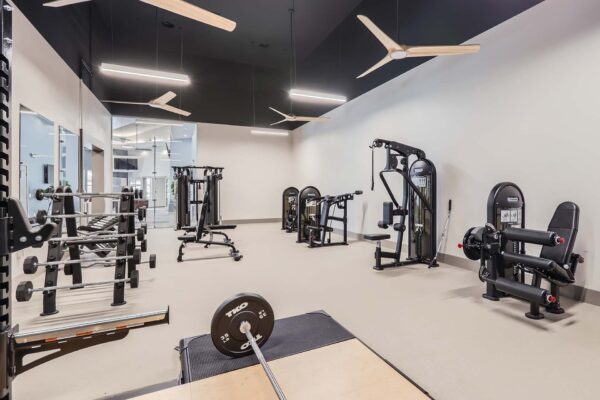 Springs at Alta Mesa apartments fitness center with weight equipment.