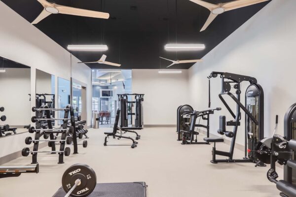Springs at Alta Mesa apartments fitness center with weight equipment.
