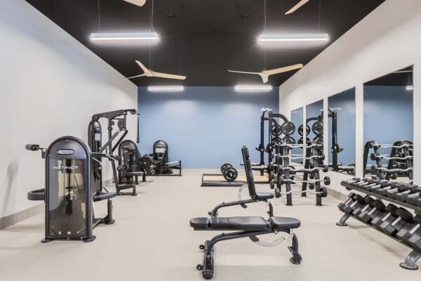 Springs at Alta Mesa apartments fitness center with weight equipment.