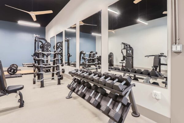 Springs at Alta Mesa apartments fitness center with weight equipment.