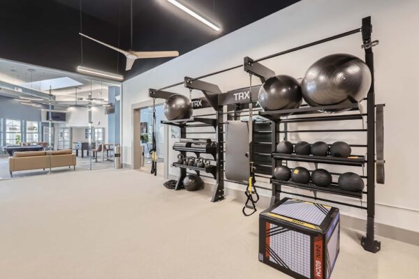 Springs at Alta Mesa apartments fitness center with calisthenics equipment.