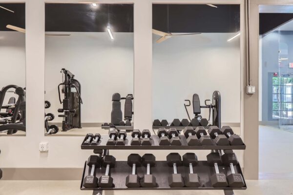 Springs at Alta Mesa apartments fitness center with weight equipment.