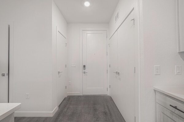 29x apartment entryway with wood style floor and white doors.