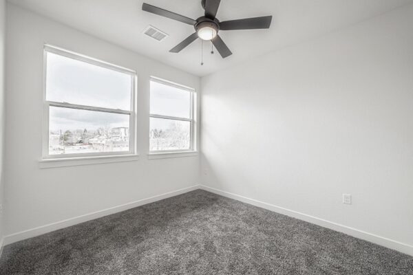 29x apartment bedroom with plush carpet, large windows, and ceiling fans.