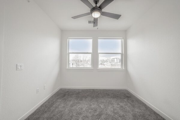 29x apartment bedroom with plush carpet, large windows, and ceiling fan.