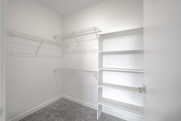 29x apartment closet with built in shelves and plush carpet.