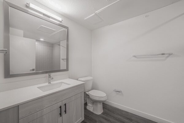 29x apartment bathroom with wood style floor, gray cabinets, and framed mirror.