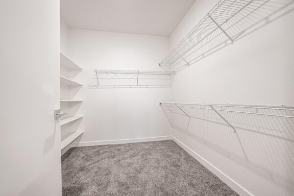 29x apartment closet with plush carpet and built in shelving.