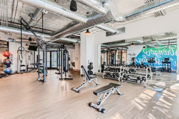 Arte St. Pete apartments fitness center with cardio machines and weight equipment.