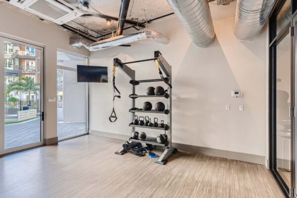 Arte St. Pete apartments fitness center with calisthenics equipment and TV.