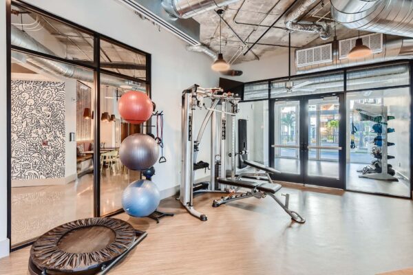 Arte St. Pete apartments fitness center with weight equipment and large windows.
