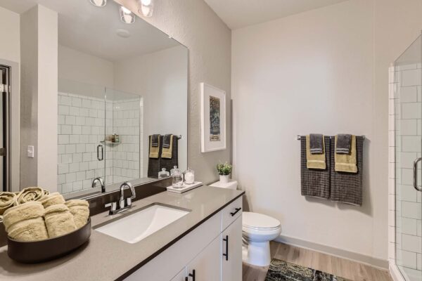Arte St. Pete apartment bathroom with light cabinets, gray counters, large mirror, and tiled shower.