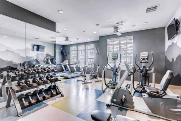 Centre Court apartments fitness center with cardio machines, weight equipment, and mountain mural.