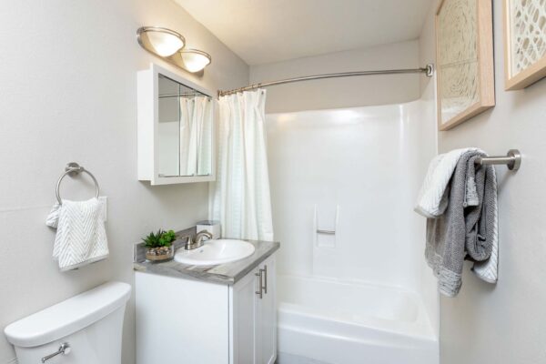 Flats at Pinecliff apartment bathroom with white cabinets, stone style counter, medicine cabinet, and shower tub.