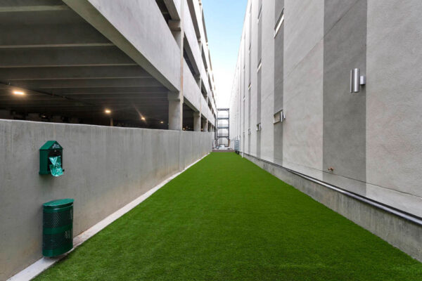 Forum Fitzsimons apartments dog run with lush green grass.