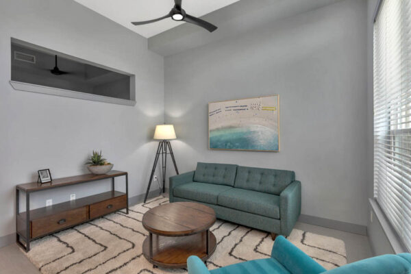 Forum Fitzsimons apartment living room with pattern rug, plush seating, framed artwork, and floor lamp.
